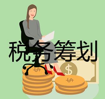 稅務(wù)籌劃 稅務(wù)籌劃