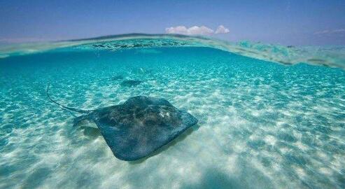 什么是離岸公司,離岸公司有什么優(yōu)缺點？