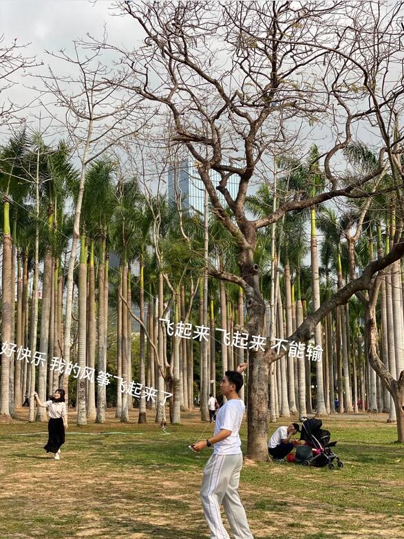 三月春意昂·結(jié)伴探春風(fēng)——君林企業(yè)踏青活動掠影 三月春意昂·結(jié)伴探春風(fēng)——君林企業(yè)踏青活動掠影