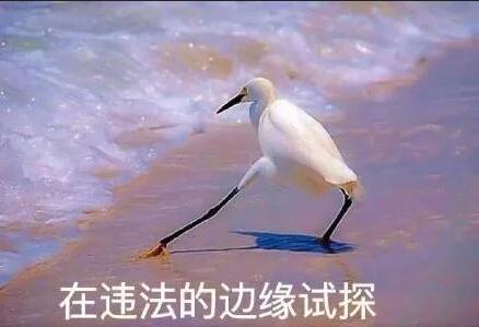 一個廣告被罰30萬！深圳發(fā)出廣告宣傳導向審查“十禁令”！