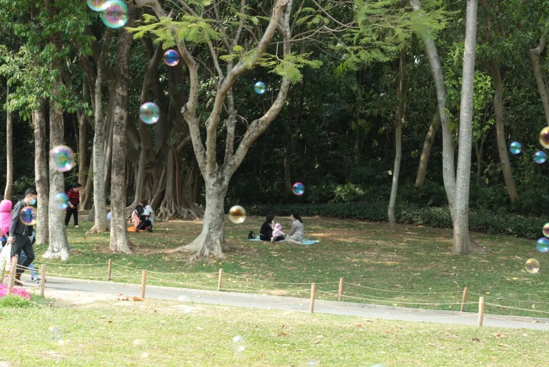 三月春意昂·結(jié)伴探春風(fēng)——君林企業(yè)踏青活動掠影 三月春意昂·結(jié)伴探春風(fēng)——君林企業(yè)踏青活動掠影