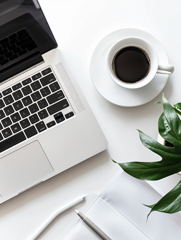 如何在國內設立香港公司的分公司?