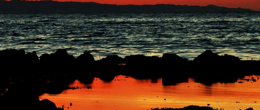 2025馬紹爾公司注冊全指南，流程、優(yōu)惠與實用價值（小白一看就懂）